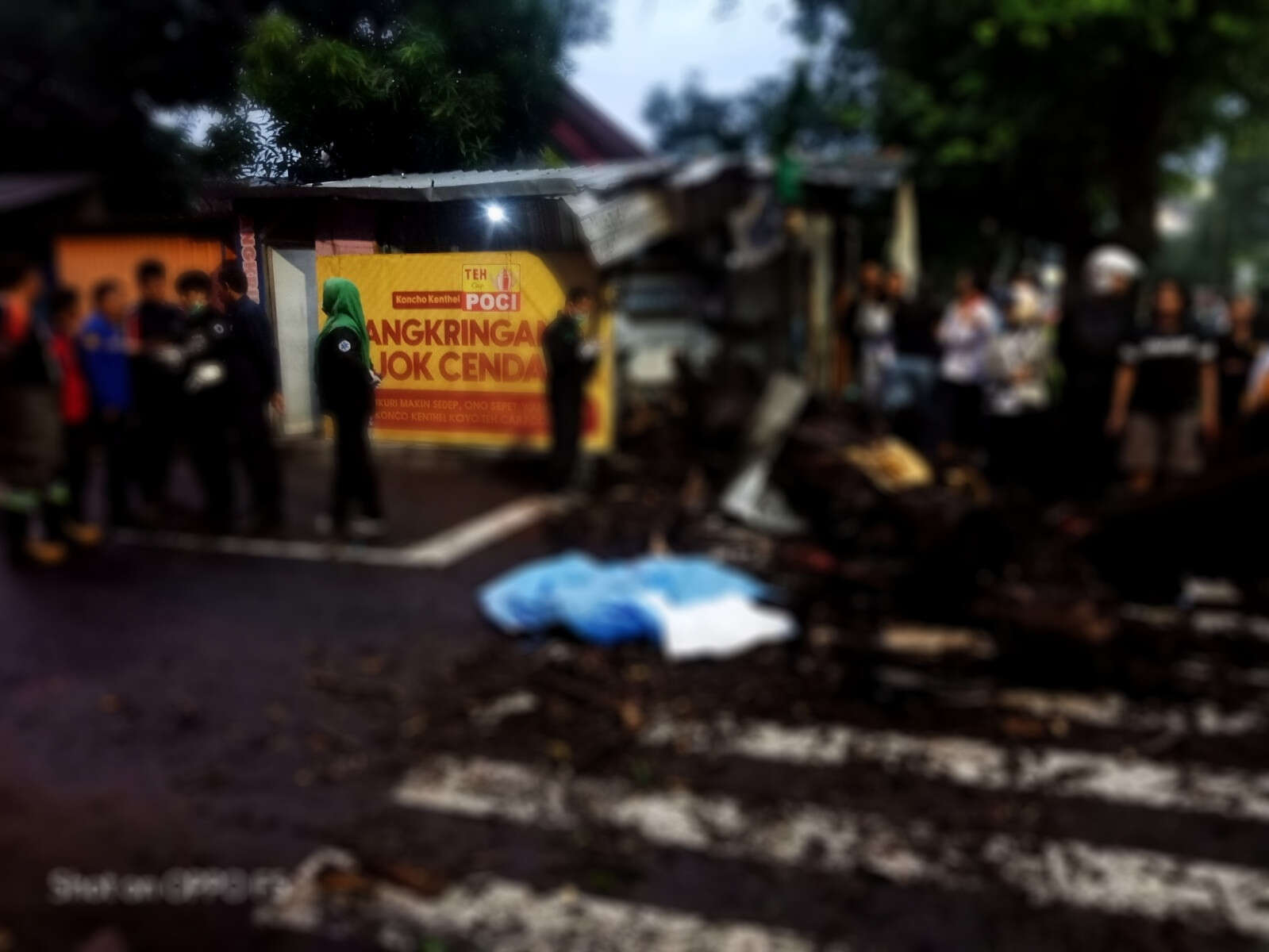 Penjual Angkringan Tewas Tertimpa Pohon di Jogja