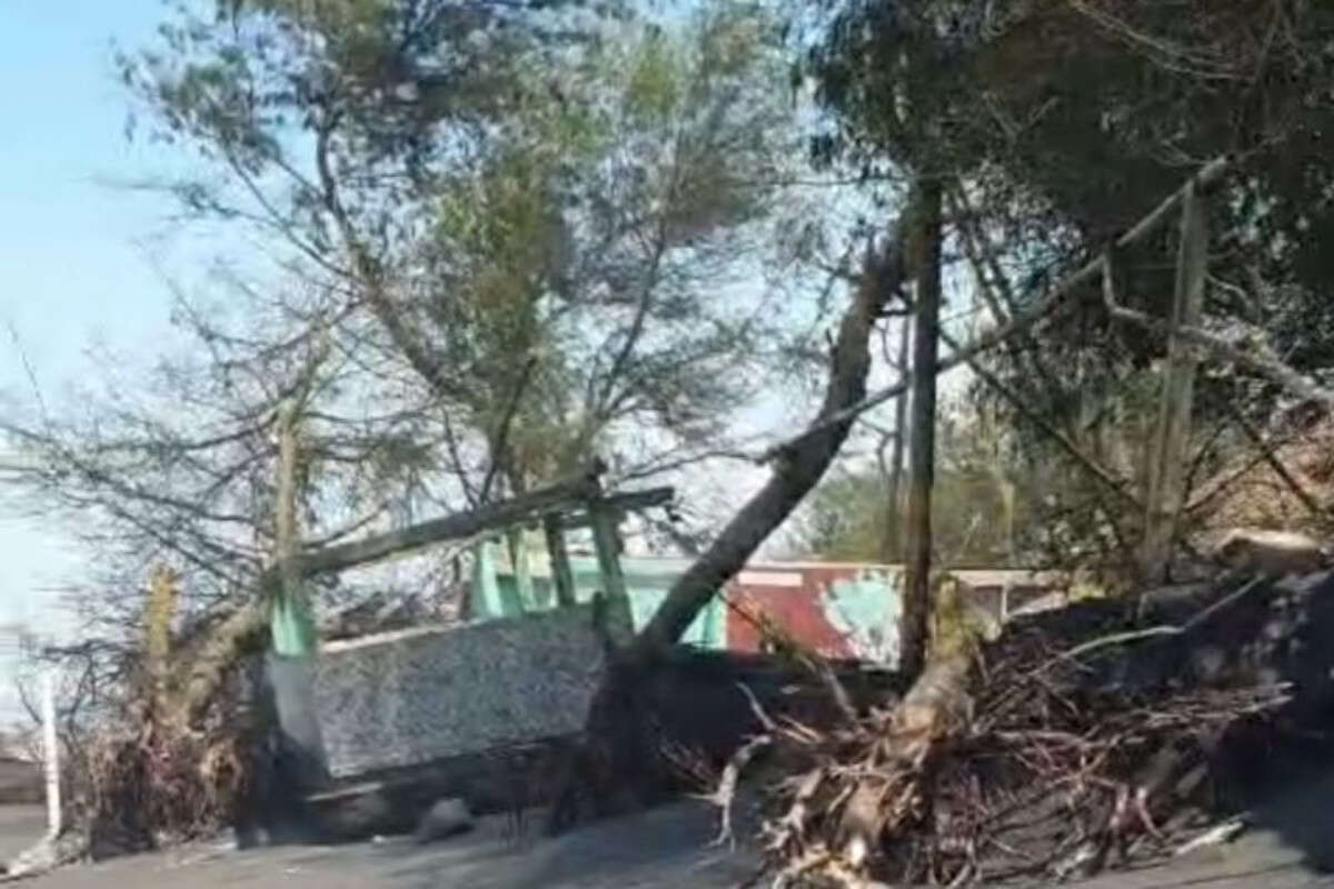 Tempat Penangkaran Penyu di Kulon Progo Rusak, Harap Diperbaiki