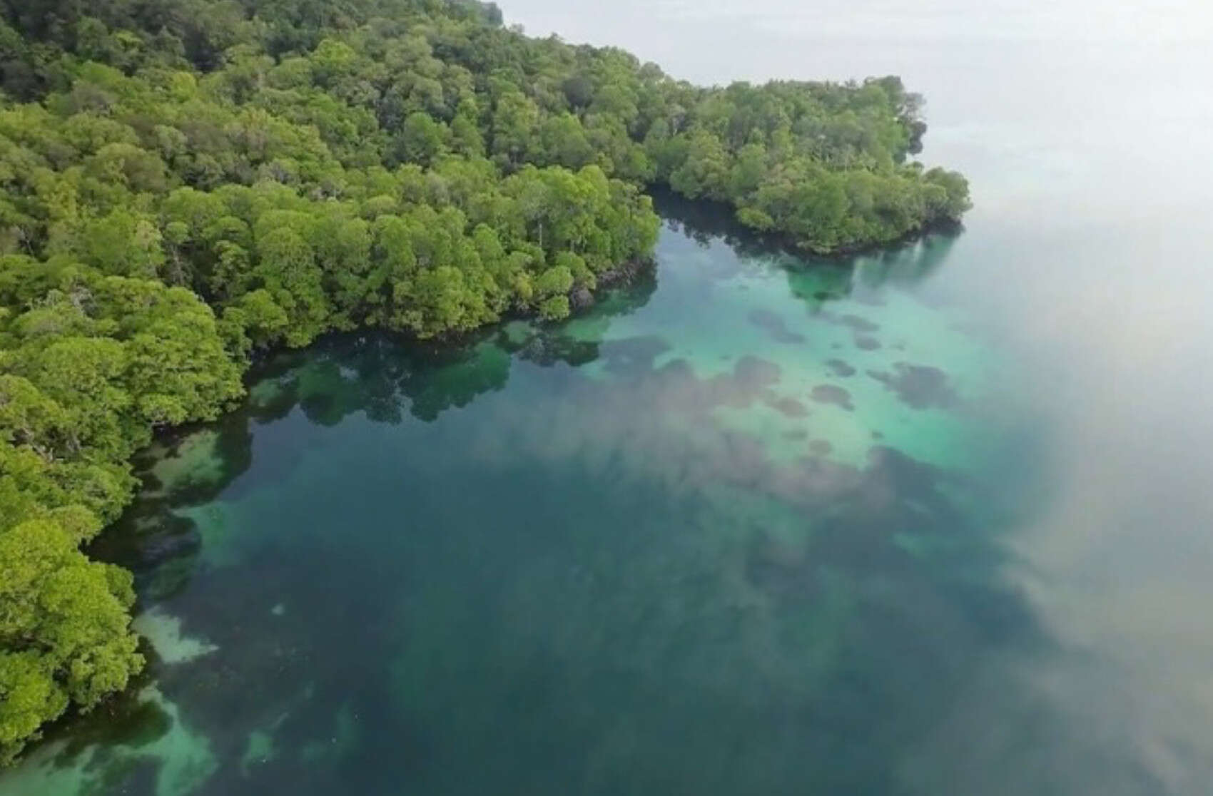 Pj Gubernur Akmal Malik Ingin Kembangkan Pulau Maratua jadi Destinasi Wisata Premium