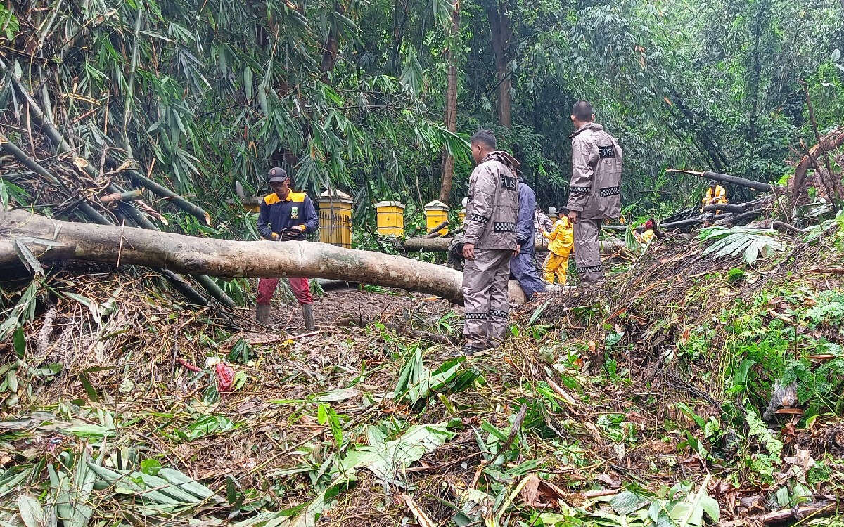 BMKG Keluarkan Peringatan Dini Buat 3 Daerah di Banten