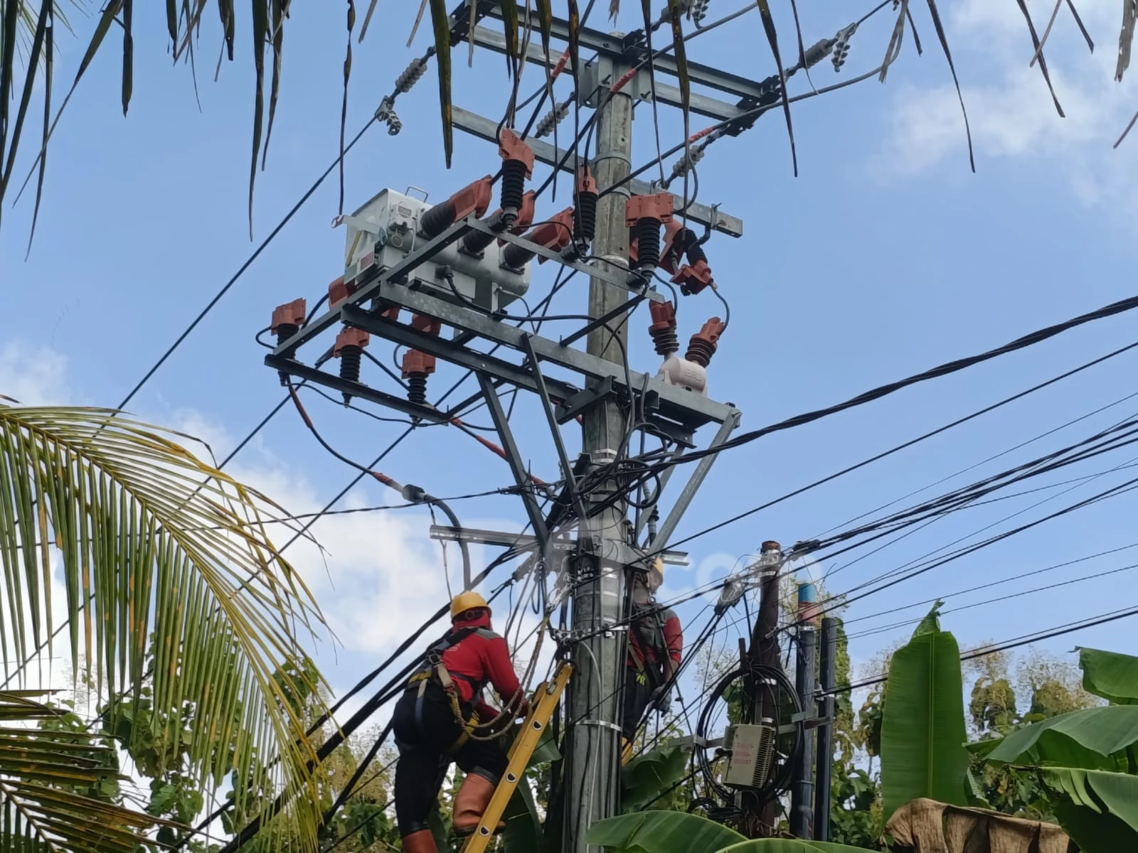 Info Pemadaman Listrik Kamis (11/6): Bali Timur, Tabanan, Denpasar & Kuta