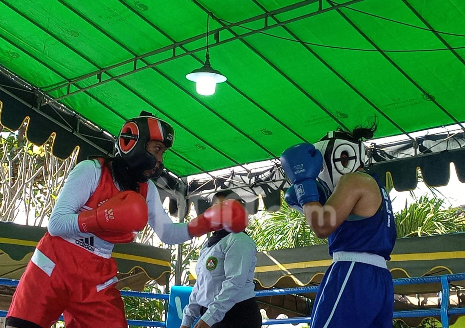 Gianyar Open 2025: Duel Seru di Hari Terakhir, Performa Atlet Tinju Bali Meningkat