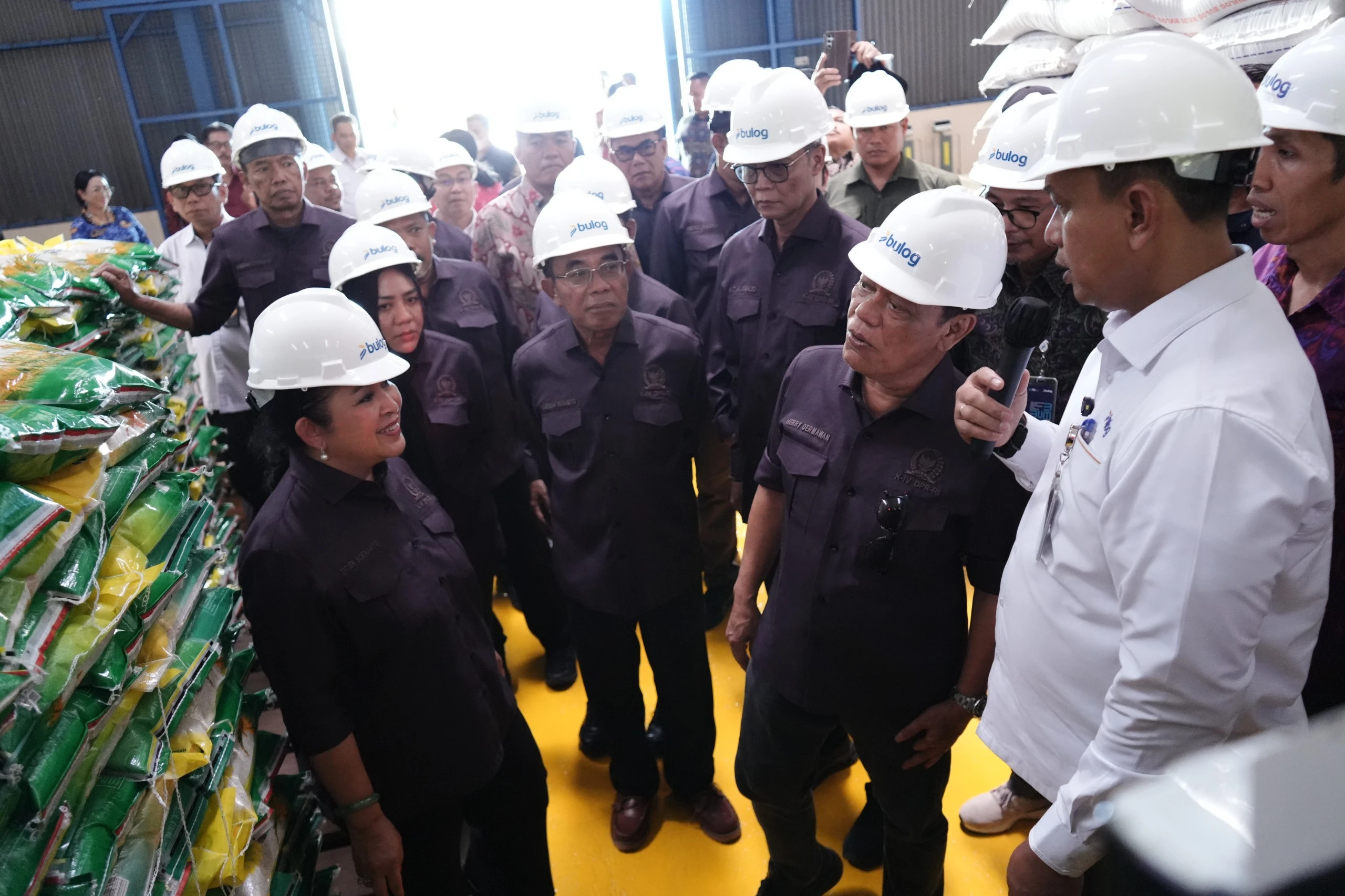 Mbak Titiek Minta Daerah Alokasikan Lahan untuk Gudang Bulog, Sentil Prabowo