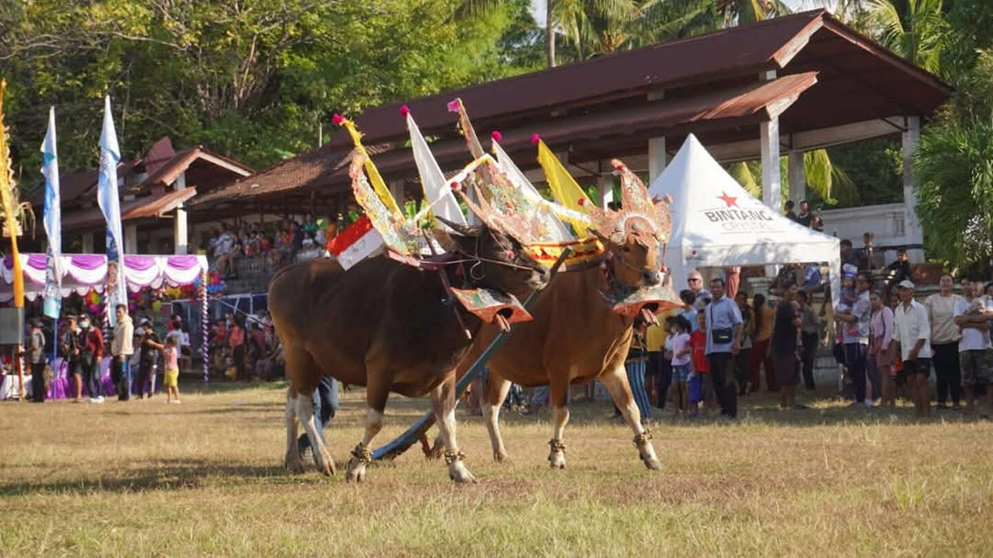 Kadispar Buleleng Bangga Pemuteran Bay & Lovina Festival Masuk Kalender KEN 2025