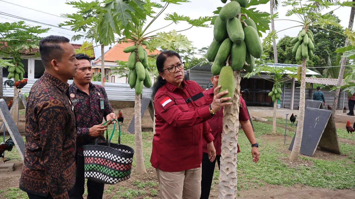 Kakanwil Pramella Panen Pepaya dan Tabur Benih Lele di Rutan Bangli, Ini Pesannya