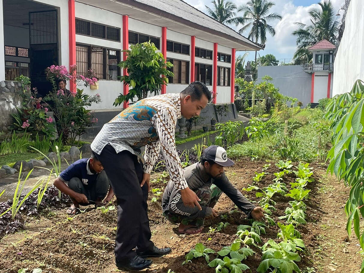 Rutan Bangli Terus Berinovasi, Manfaatkan Brangang Untuk Tanam Ubi & Sayur