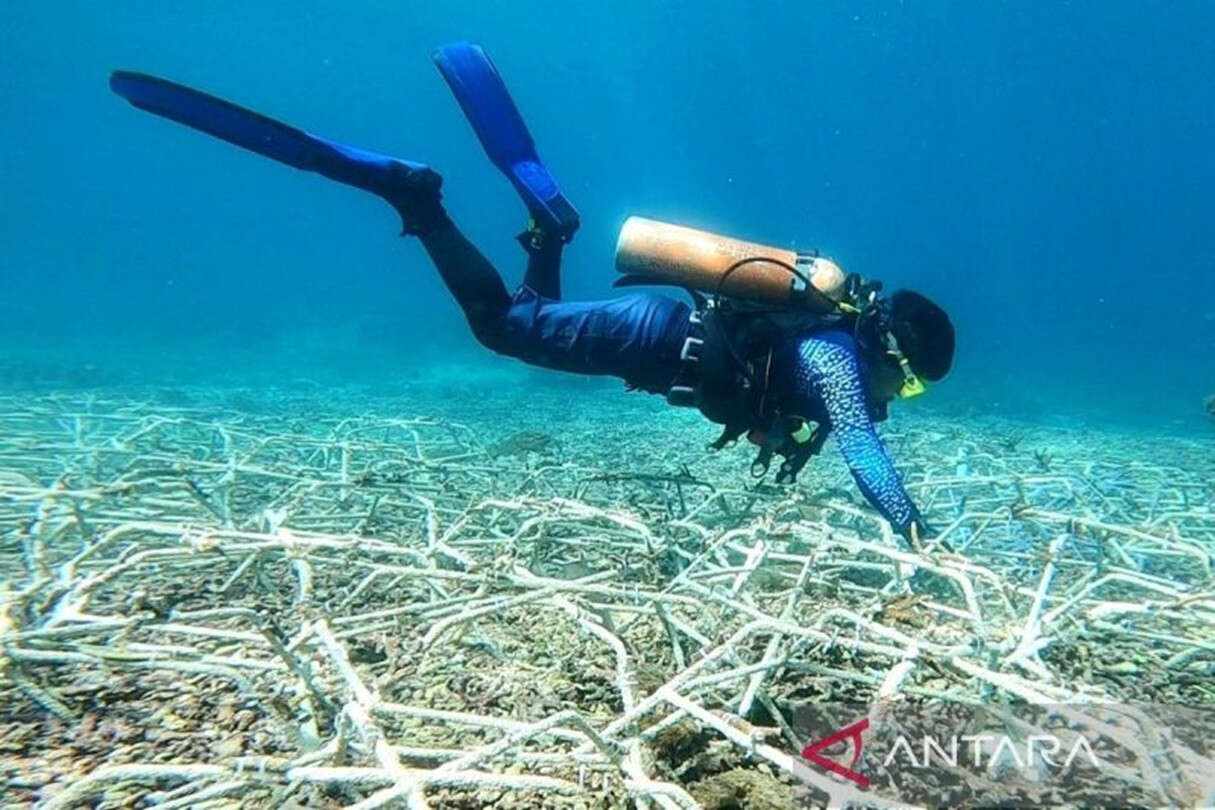 CTC Ungkap Tutupan Terumbu Karang di Perairan Nusa Penida Bali Masih yang Terbaik