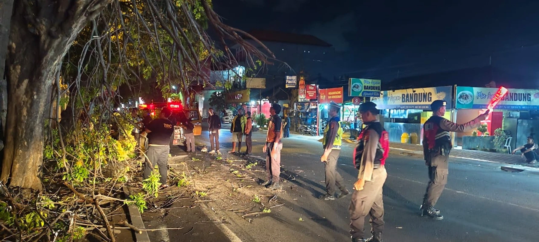 Pohon Cemara Tumbang Tutup Jalan Diponegoro Kamis Malam, Waspada Semeton