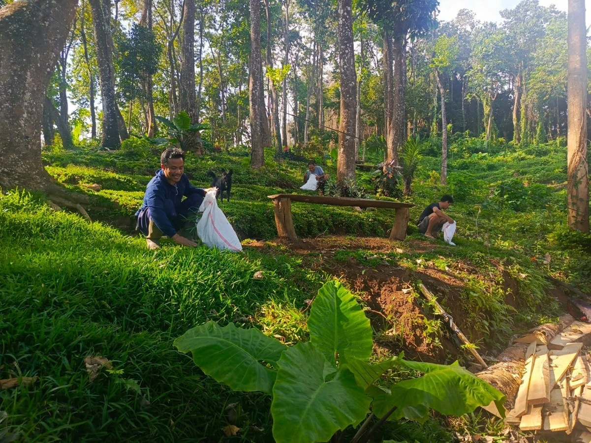 Viral Pembabatan Hutan Desa di Ambengan Buleleng, KPH Bali Utara Angkat Bicara