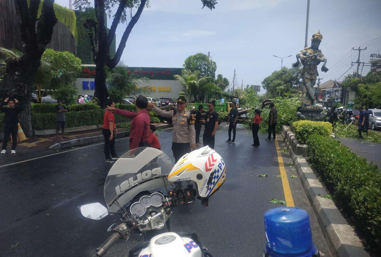 Bali Hujan Lebat, Pohon Tumbang di Jalan Bypass Kuta Memicu Kemacetan, Lalin Dialihkan