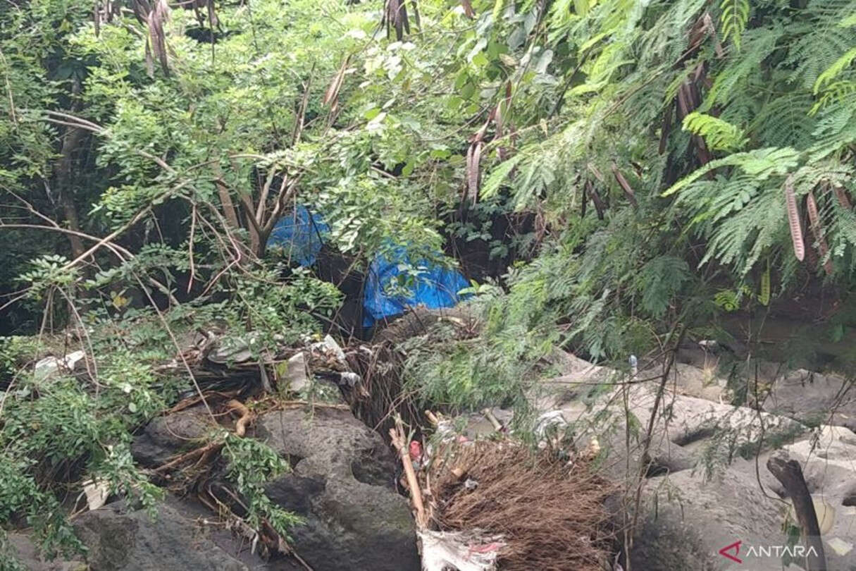 Miris, Gajah Bali Zoo Mati Terseret Arus Sungai Wos Gianyar, Begini Kronologinya