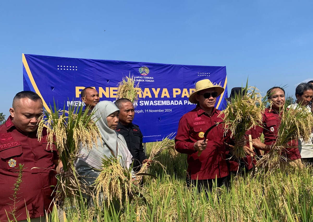 Lapas Terbuka Lombok Tengah Panen Raya Padi, Dukung Ketahanan Pangan Nasional