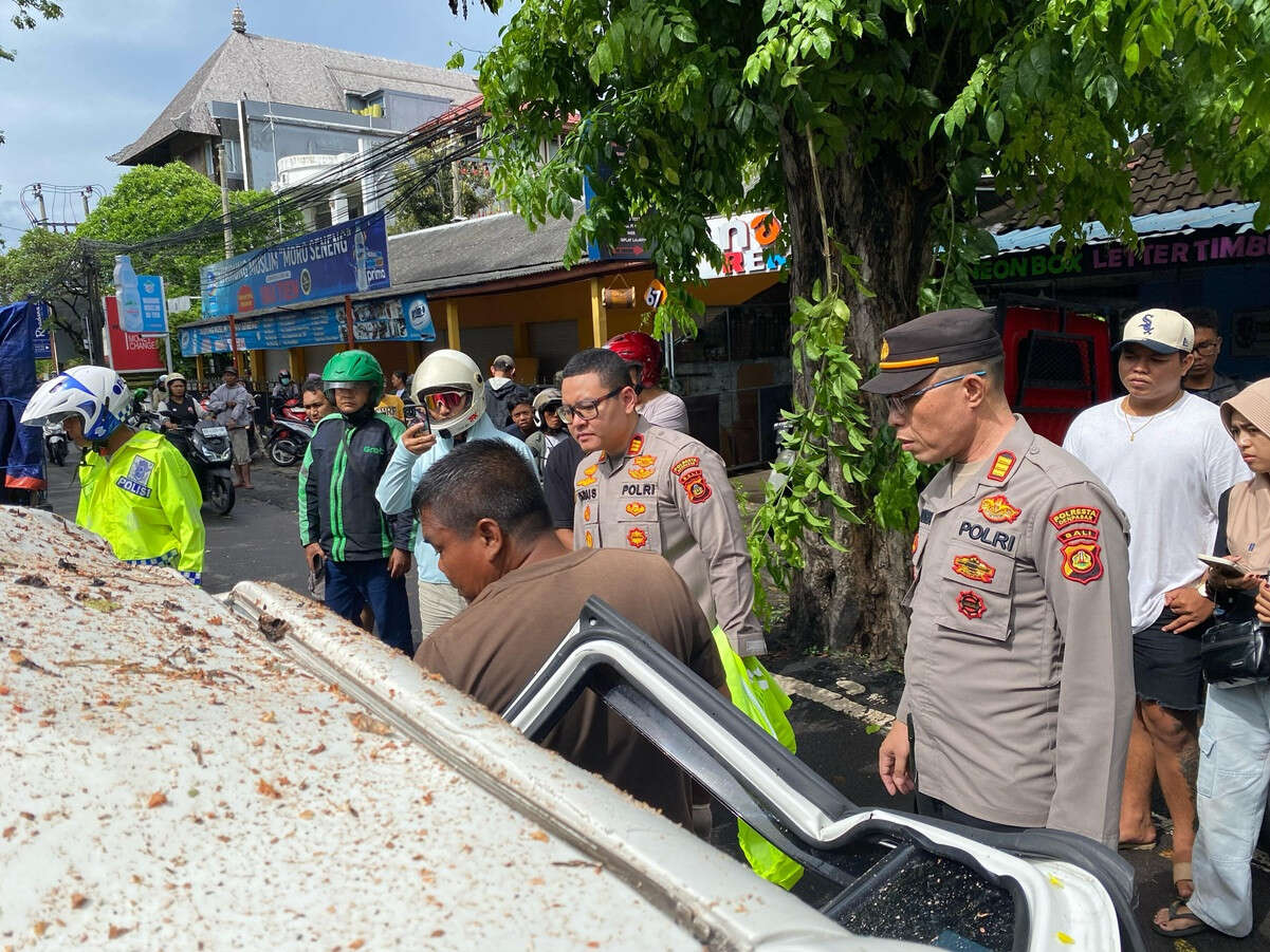 Cuaca Ekstrem Melanda Bali, Pohon Tumbang di Kuta Makan Korban, Satu Tewas