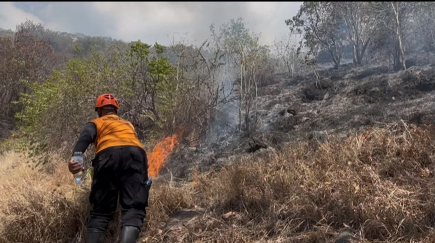Hutan Lindung Pemuteran Buleleng Terbakar, Api Dijinakkan dengan Alat Seadanya