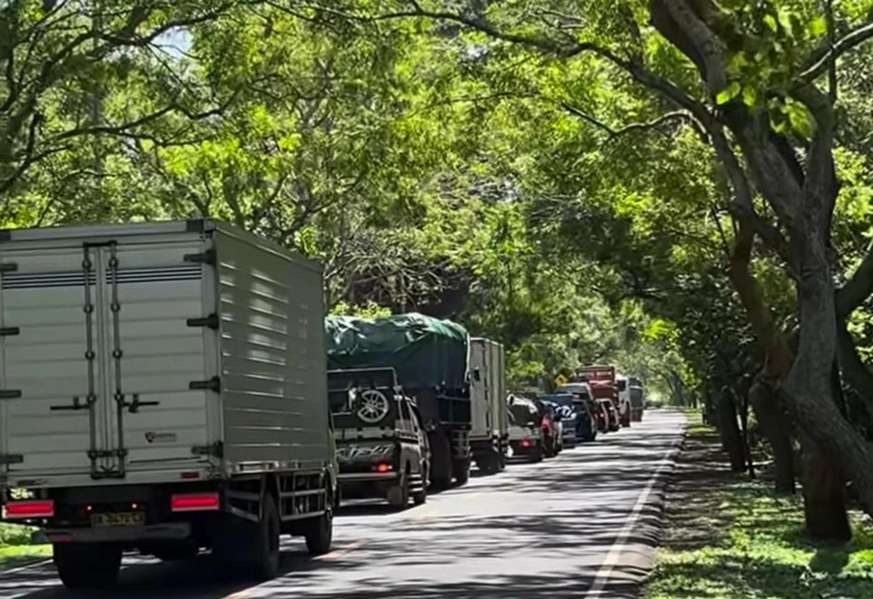 Antrean Kendaraan Mengular di Gilimanuk Buntut 15 Kapal Feri tak Berlayar, Lihat