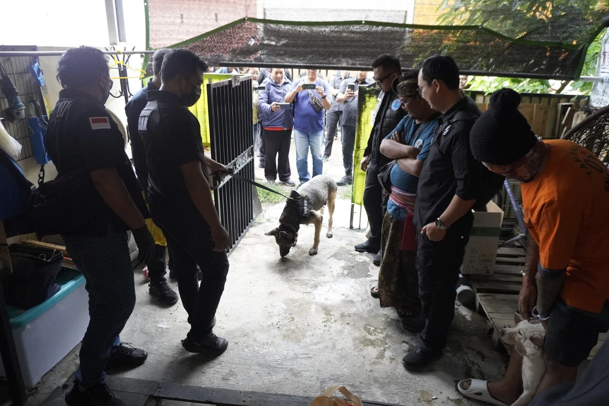 BNNP Bali Geledah Rumah Tersangka Jaringan Spiderman Reborn, Ini Temuannya