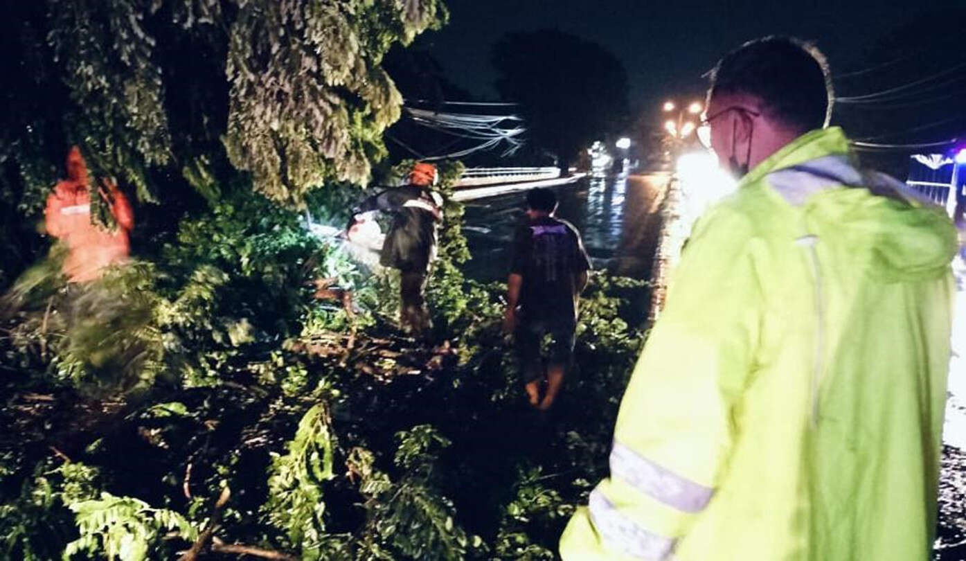 Pohon Tumbang Picu Kemacetan di Jalan Bypass Kamis Malam, Pengguna Jalan Waspada!