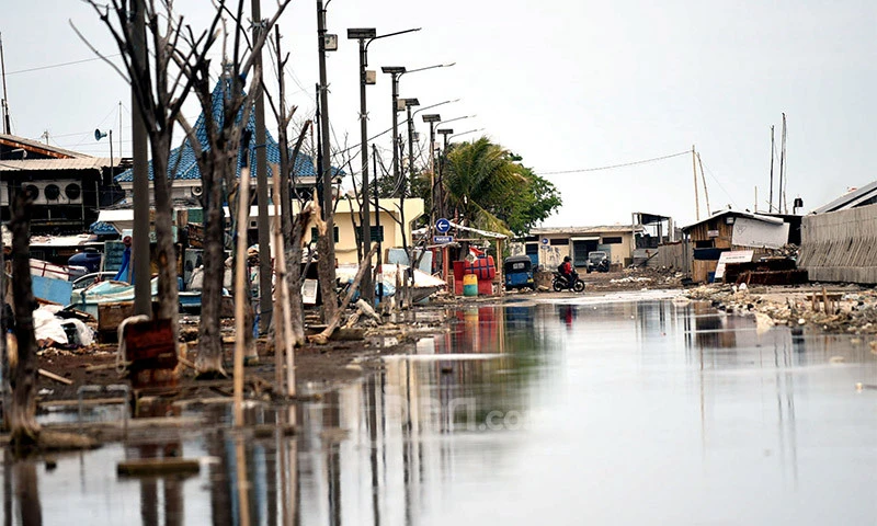 Banjir Merendam Lahan Pertanian 2 Desa di Parimo