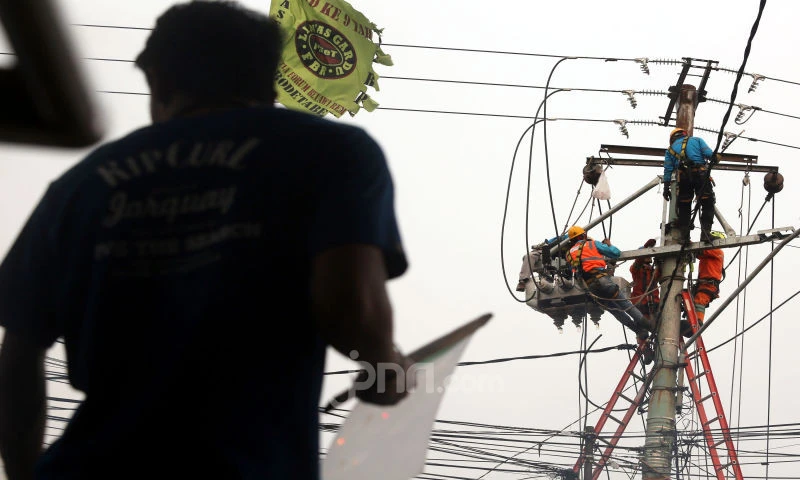 Pengamat: Kementerian ESDM Harus Bertanggung Jawab soal Blackout PLN