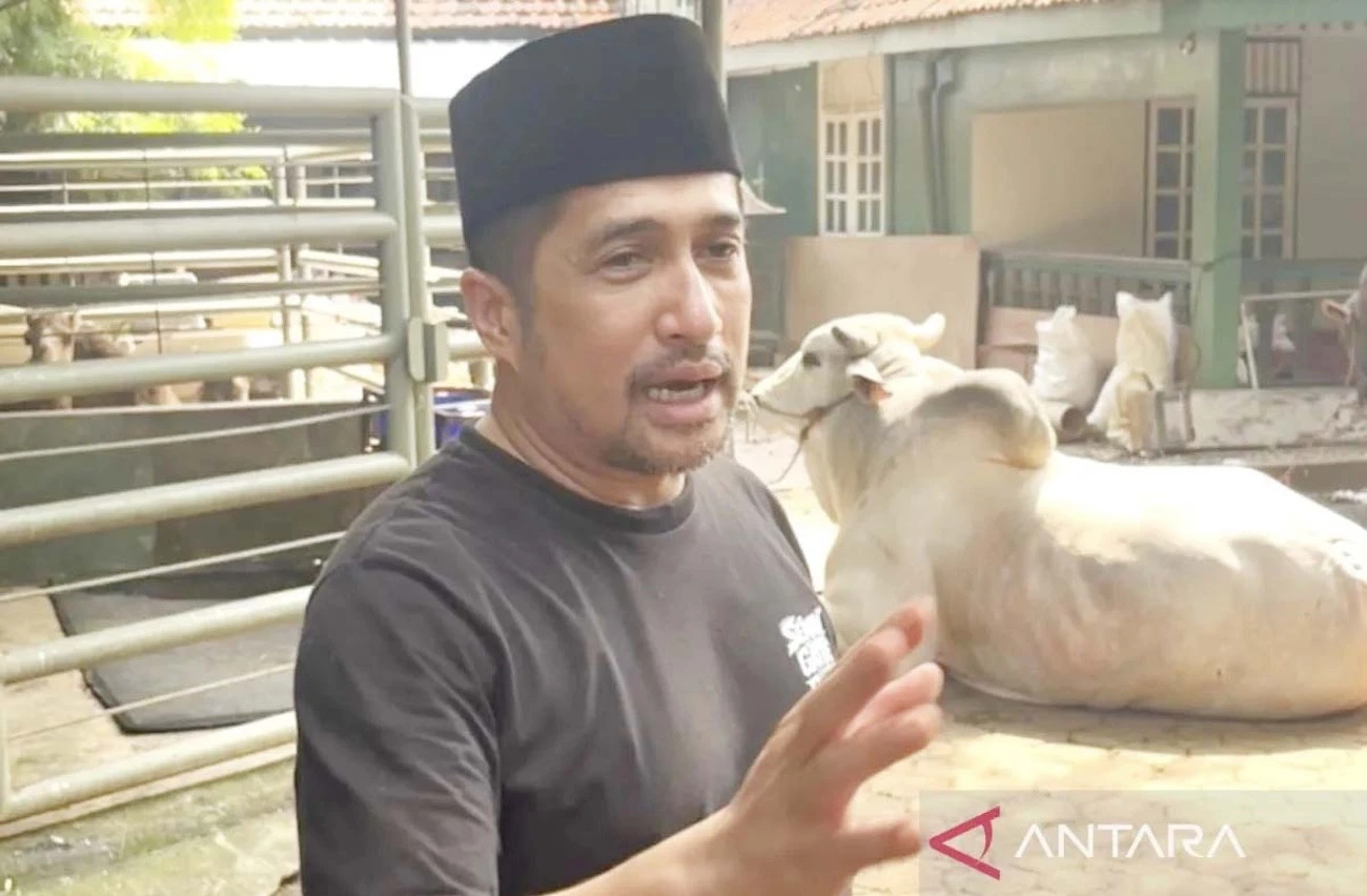 Irfan Hakim Banggakan Sapi Lokal untuk Kurban di Iduladha Tahun Ini
