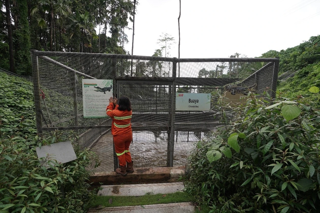 Sanctuary Park IWIP Jadi Rumah Baru Satwa dan Tumbuhan Endemik Halmahera