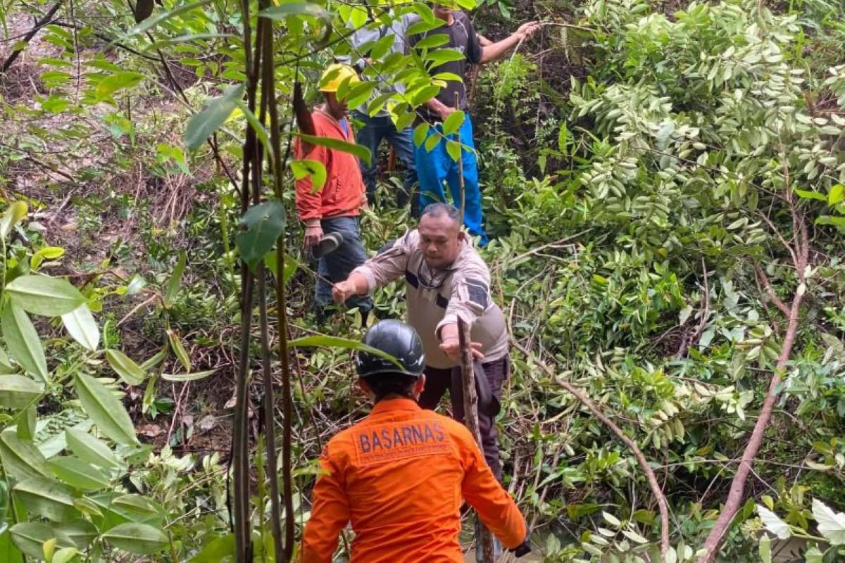 Seorang Nenek Hilang di Lingga, Begini Informasinya