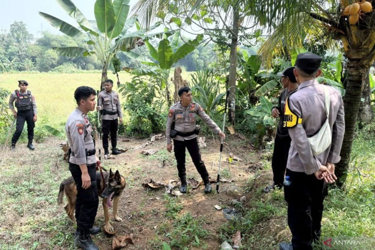 Polisi Kerahkan Tim K-9 Menangkap Anjing Pemburu yang Lepas di Jasinga