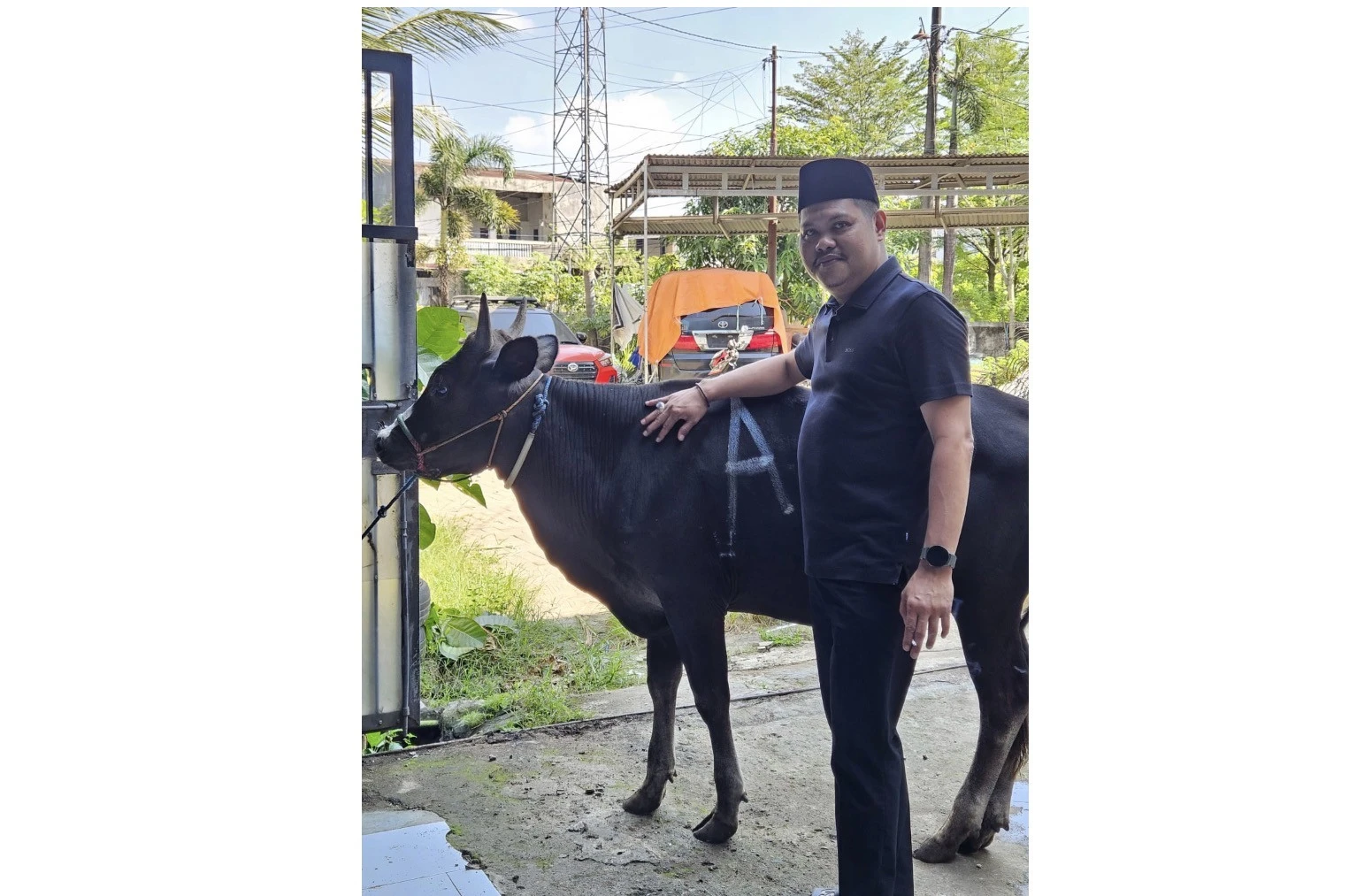Relawan Prabowo-Gibran Logis 08 Berkurban Satu Ekor Sapi untuk Masyarakat