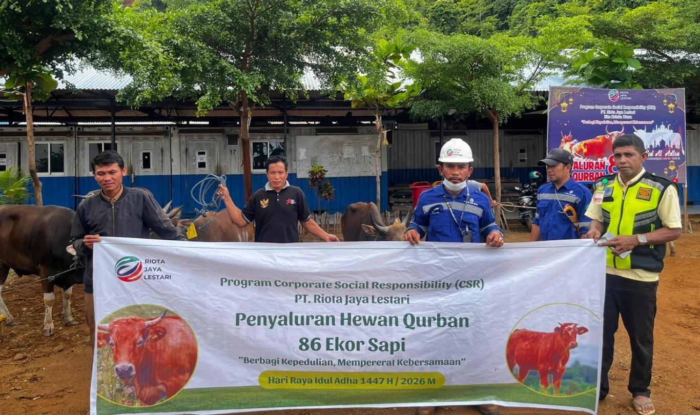 Riota Jaya Lestari Salurkan 89 Sapi Untuk Berkurban