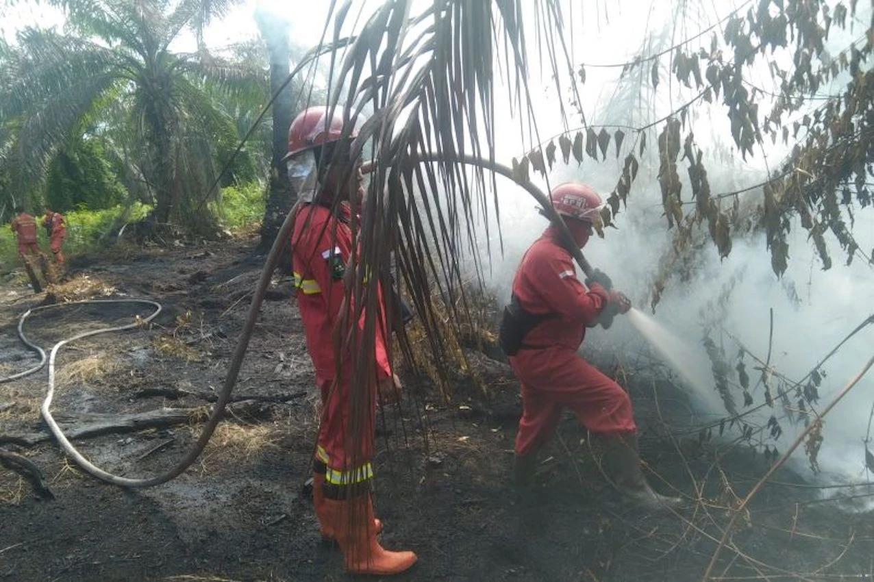 Hadapi Kemarau, 11 Daerah di Riau Tetapkan Status Siaga Darurat Karhutla