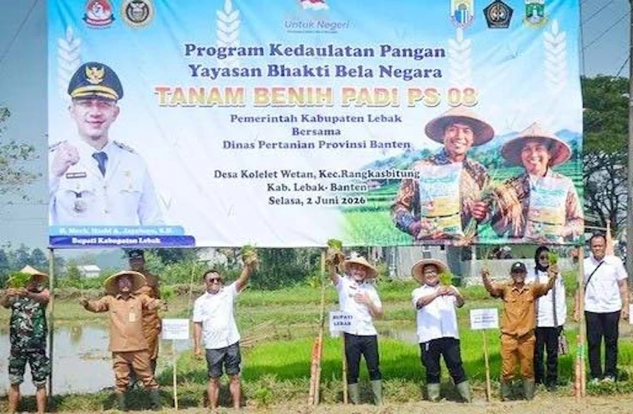 Lebak Genjot Produksi Beras, Bupati Hasbi Turun Langsung Tanam Padi
