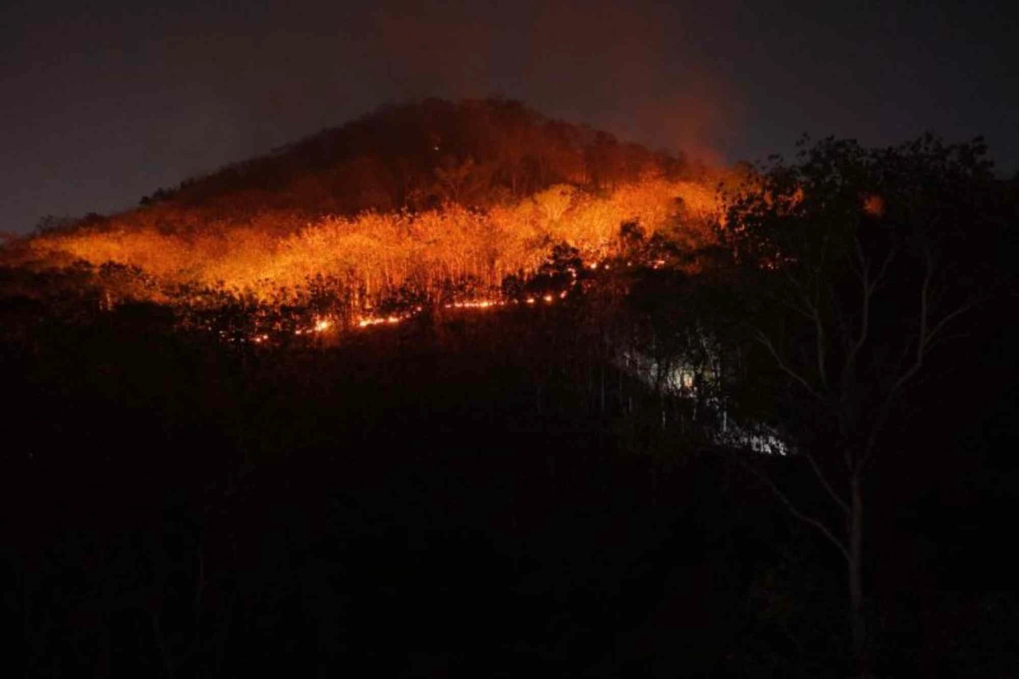 Kebakaran Besar Melanda Gunung Gombak Ponorogo
