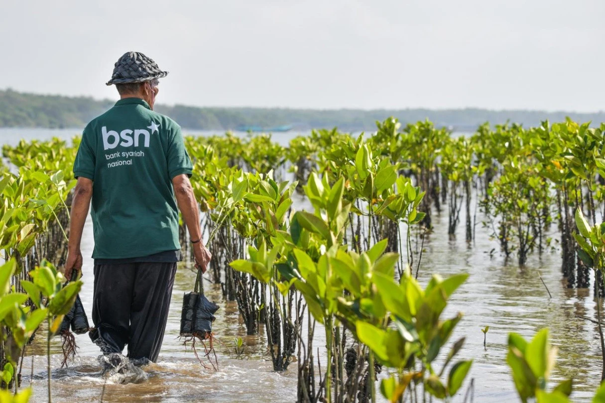 Hari Mangrove Sedunia, BSN Berkomitmen Jaga Ekosistem Pesisir