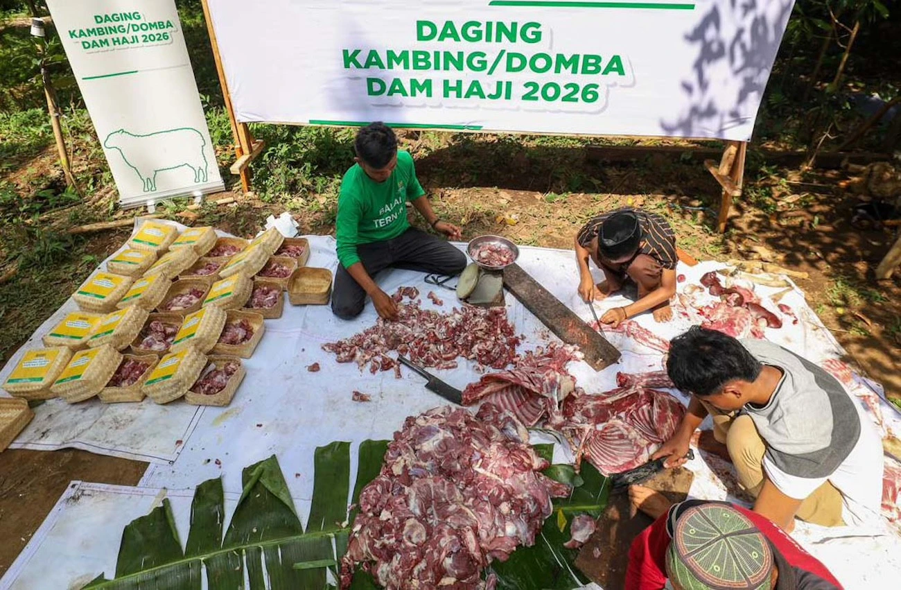 1.240 Kambing Dam Jemaah Haji Didistribusikan kepada Mustahik