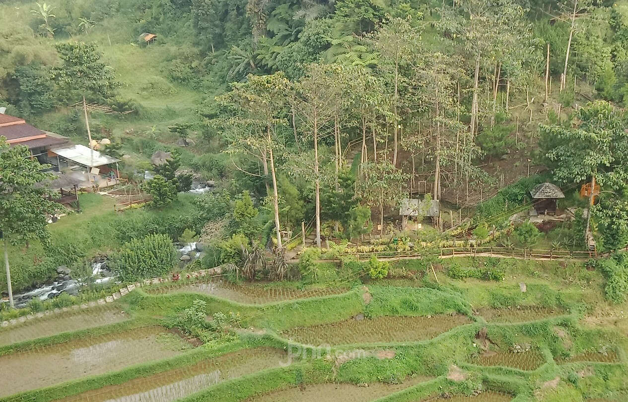 Kades Bujang Mengakui Manfaat Besar Pelatihan P3PD, Simak Ceritanya