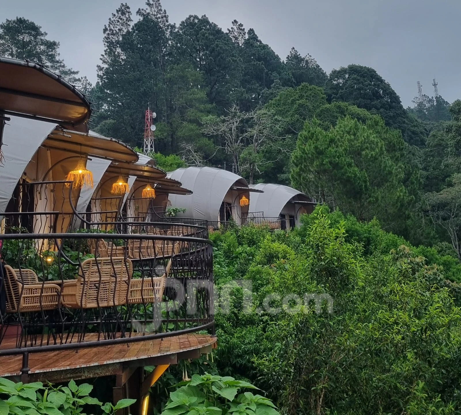 Perhutani Bakal Sanksi Tegas Tempat Wisata Alam yang Melanggar Aturan