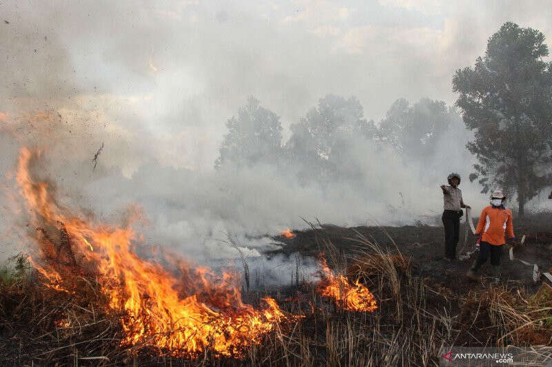 Innalillahi! Lahan HGU PTPN di Nyalindung Sukabumi Terbakar