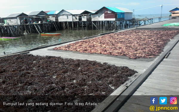 Suku Bajo dan Banyak Lagi Bukti Legalitas Sertifikat Lahan di Atas Laut