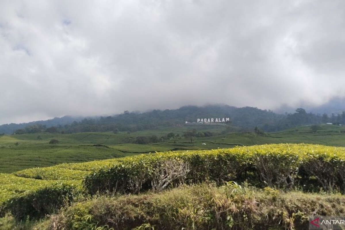 Diduga Hipotermia, Pendaki Asal Bengkulu Meninggal di Puncak Gunung Dempo