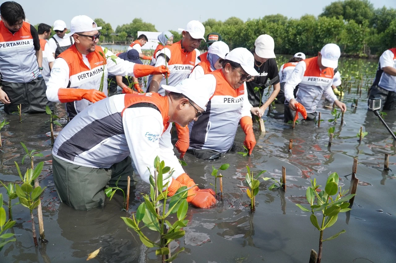 Tumbuhkan Cinta Lingkungan, Pertamina Ajak Siswa SD Tanam 20 Ribu Mangrove di Tangerang