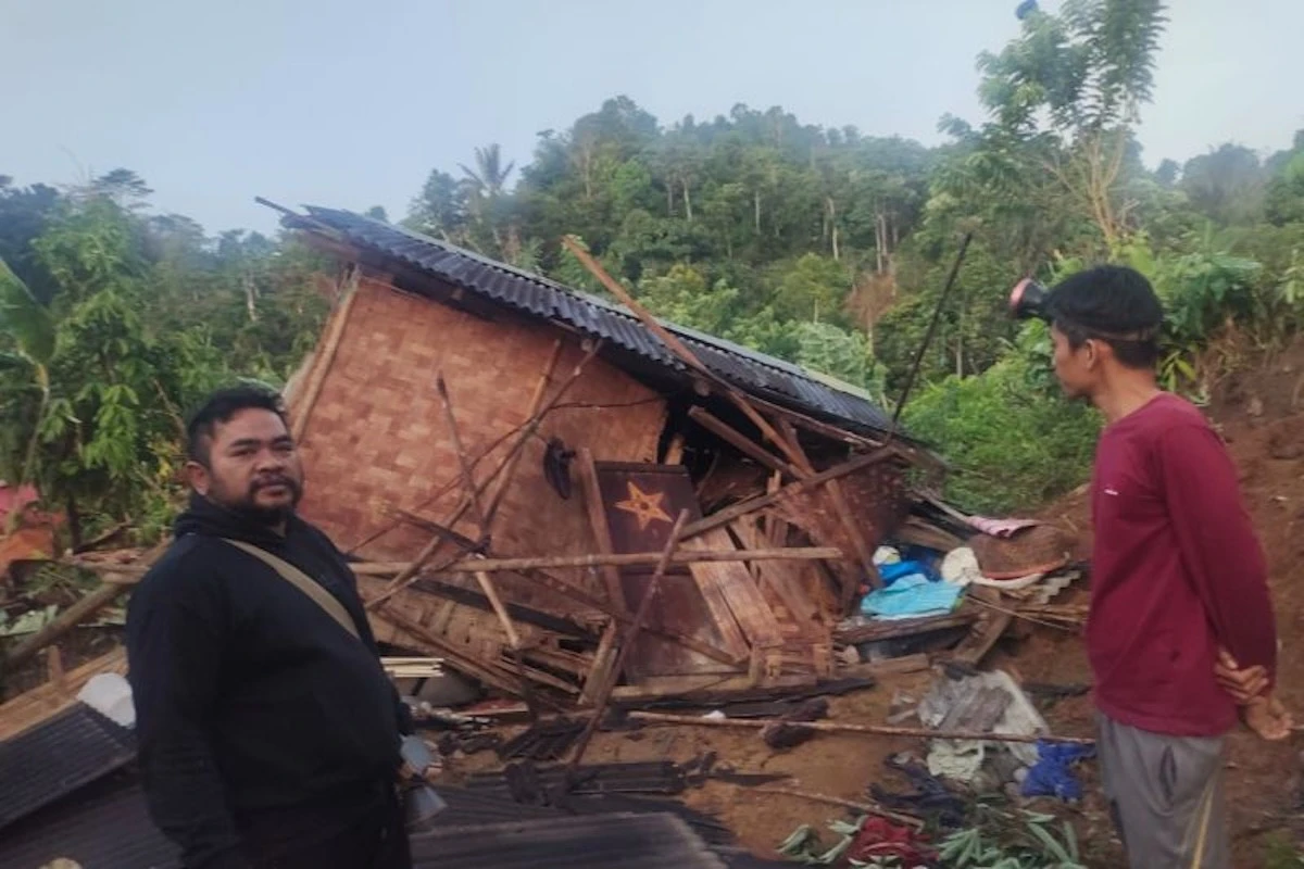 Kawanan Gajah Liar Merusak 7 Rumah Warga di Lampung Barat