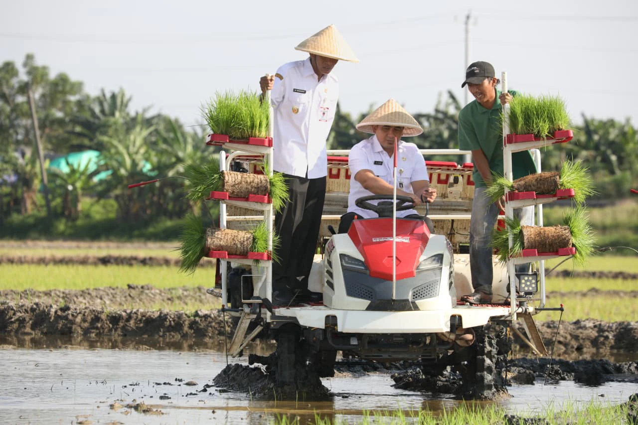Pemprov Jateng Memulihkan 512 Hektare Lahan Pertanian di Demak