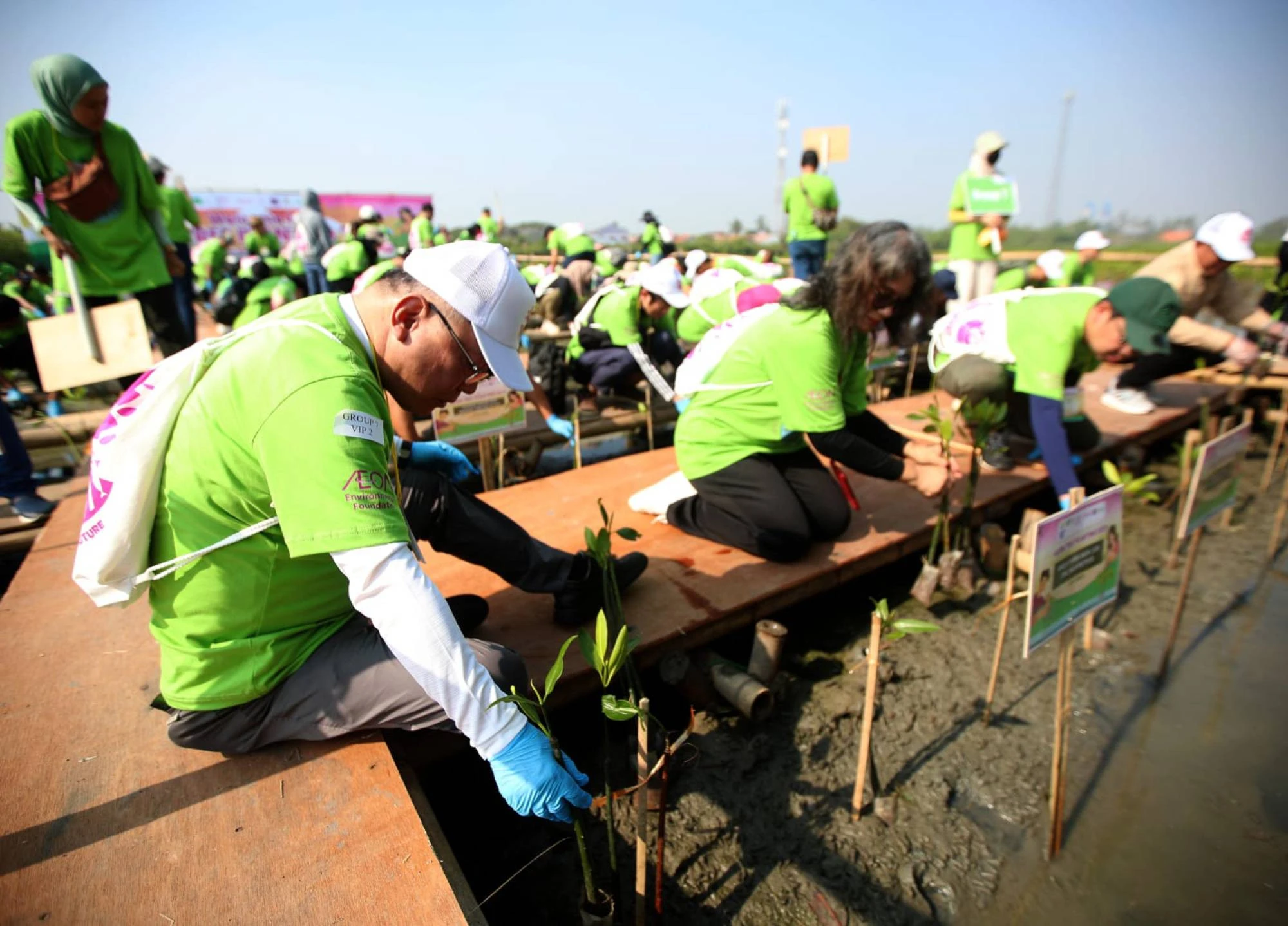 AEON Environmental Foundation Tanam 1.000 Pohon Bakau di Tangerang