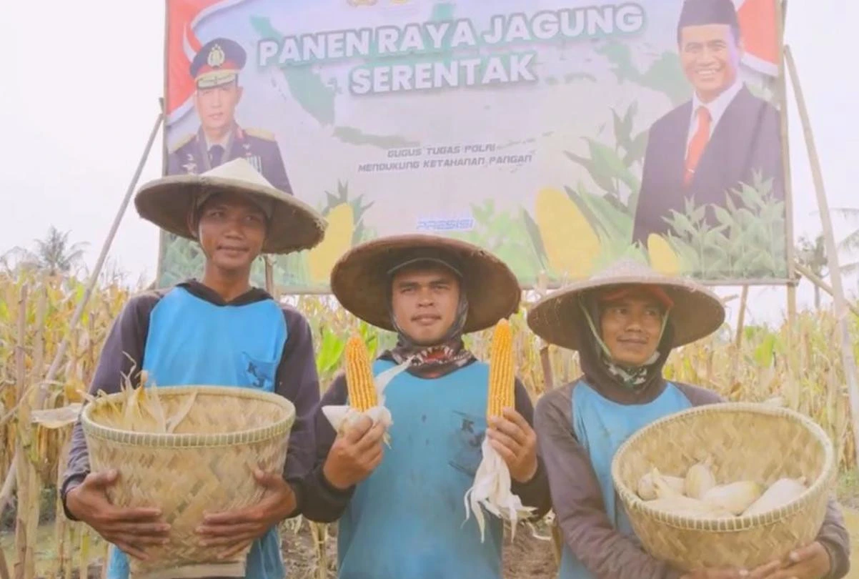 Polri Bersinergi dengan PIK, Warga Panen Raya Jagung di Teluknaga
