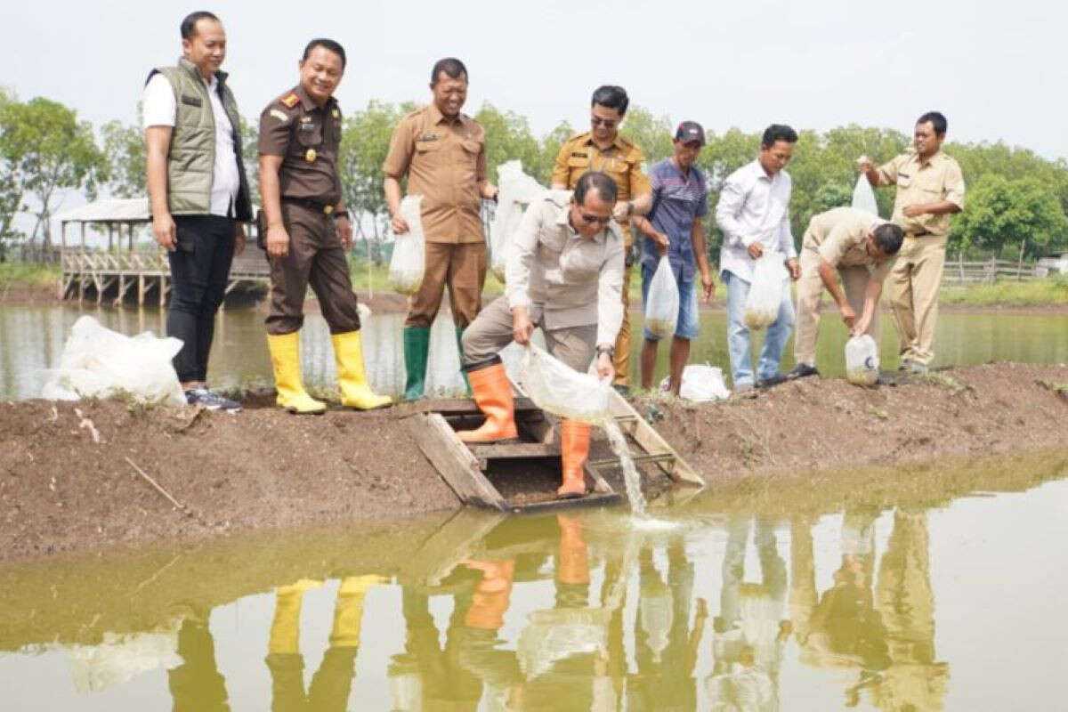 Ribuan Benih Bandeng Ditebar di Pasuruan Untuk Dukung Ketahanan Pangan