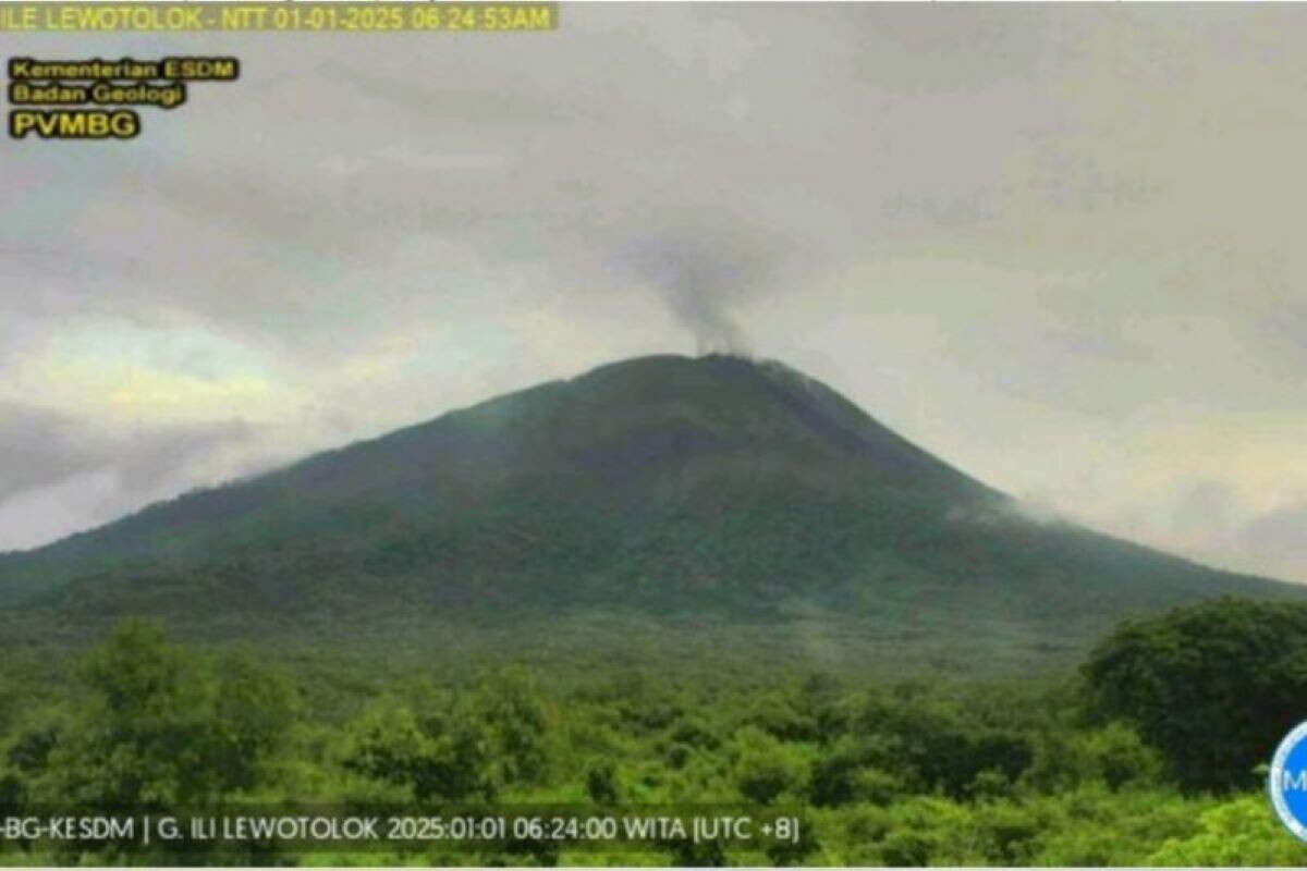 Hasil Pengamatan Badan Geologi, Aktivitas Gunung Ili Lewotolok Masih Tinggi