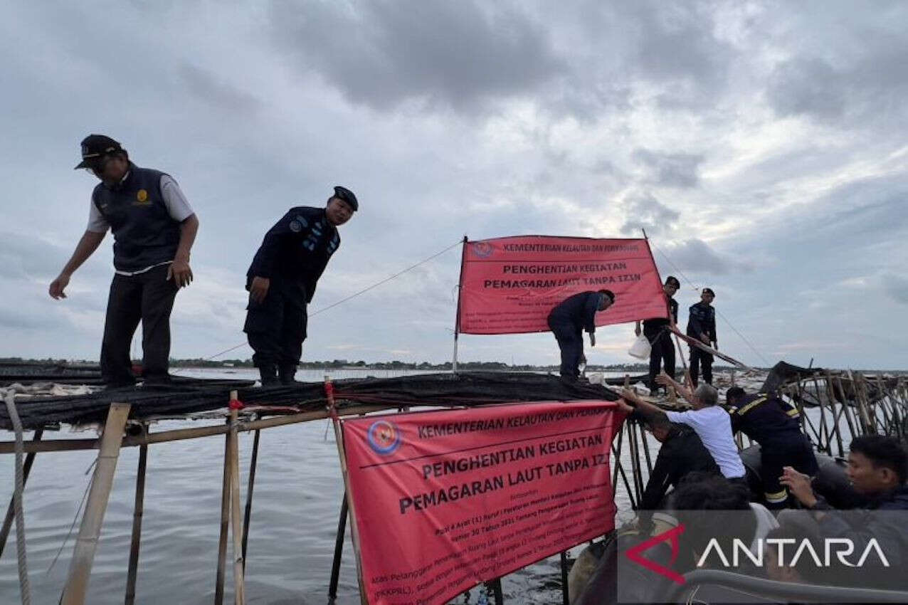 GMNI Tangerang Desak Pemkab Tangerang Segera Bongkar Pagar Bambu di Pantura