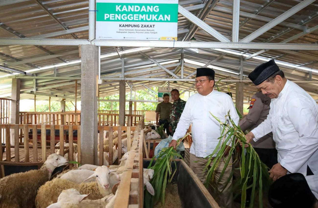 Balai Ternak BAZNAS Berdayakan Mustahik di Jepara Melalui Peternakan