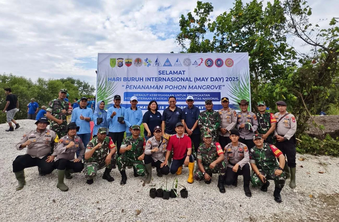 May Day Tanpa Demo, Pekerja Sambu Group Tanam 1.001 Mangrove di Inhil