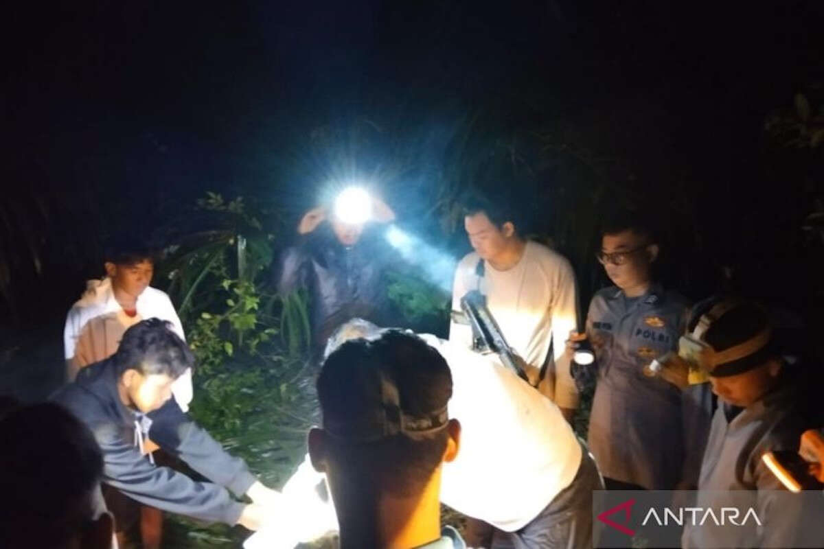 Warga Mukomuko Ditemukan Meninggal di Kebun Kelapa Sawit, Diduga Dimangsa Harimau